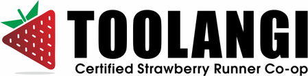 Toolangi Certified Strawberry Runner Co-op