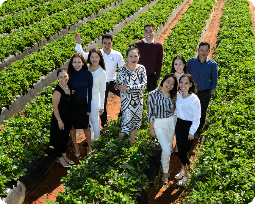 The Dang Family owners of SSS Strawberries in Bundaberg Queensland.