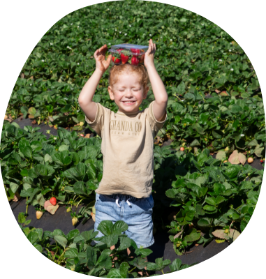 A child holding a punnet of strawberries they just picked on their head and grinning.